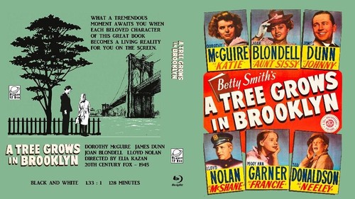 A Tree Grows in Brooklyn (1945) disc cover