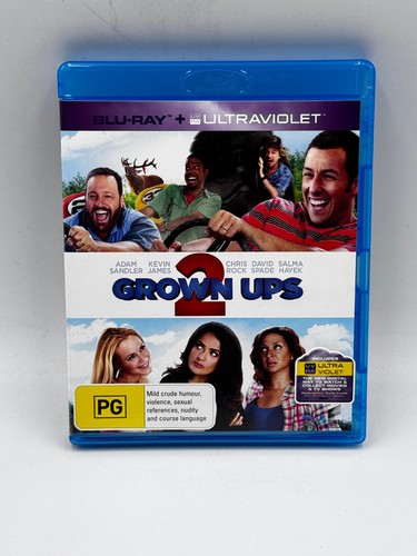 Grown Ups 2 (2013) disc cover