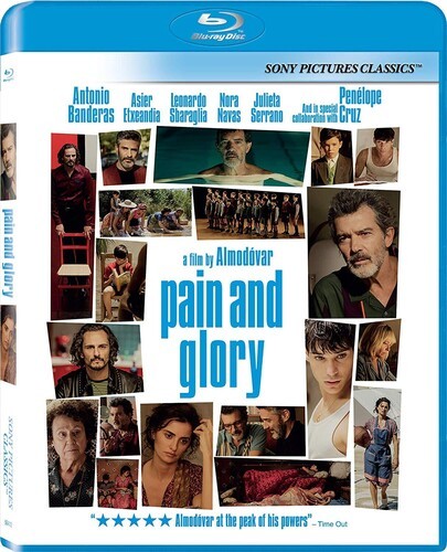 Pain and Glory (2019) disc cover